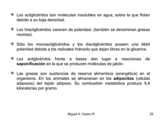  Los acilglicéridos son moléculas insolubles en agua, sobre la que flotan
debido a su baja densidad.
 Los triacilglicéridos carecen de polaridad, (también se denominan grasas
neutras).
 Sólo los monoacilglicéridos y los diacilglicéridos poseen una débil
polaridad debida a los radicales hidroxilo que dejan libres en la glicerina.
 Los acilglicéridos frente a bases dan lugar a reacciones de
saponificación en la que se producen moléculas de jabón.
 Las grasas son sustancias de reserva alimenticia (energética) en el
organismo. En los animales se almacenan en los adipocitos (células
adiposas) del tejido adiposo. Su combustión metabólica produce 9,4
kilocalorías por gramo.
25Miguel A. Castro R.
 