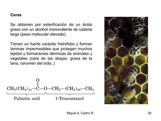Ceras
Se obtienen por esterificación de un ácido
graso con un alcohol monovalente de cadena
larga (peso molecular elevado).
Tienen un fuerte carácter hidrófobo y forman
laminas impermeables que protegen muchos
tejidos y formaciones dérmicas de animales y
vegetales (cera de las abejas, grasa de la
lana, cerumen del oído..)
26Miguel A. Castro R.
 