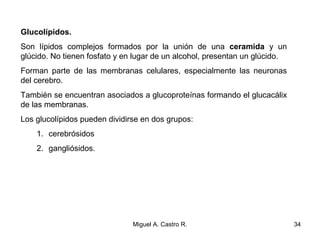 Glucolípidos.
Son lípidos complejos formados por la unión de una ceramida y un
glúcido. No tienen fosfato y en lugar de un alcohol, presentan un glúcido.
Forman parte de las membranas celulares, especialmente las neuronas
del cerebro.
También se encuentran asociados a glucoproteínas formando el glucacálix
de las membranas.
Los glucolípidos pueden dividirse en dos grupos:
1. cerebrósidos
2. gangliósidos.
34Miguel A. Castro R.
 