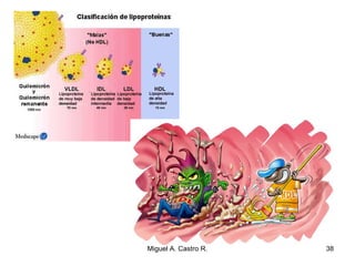 Miguel A. Castro R. 38
 