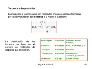 Terpenos o Isoprenoides
Los terpenos o isoprenoides son moléculas lineales o cíclicas formadas
por la polimerización del isopreno o 2-metil-l,3-butadieno
La clasificación de los
terpenos se basa en el
número de moléculas de
isopreno que contienen.
Carotenoides:
Xantofila, β-caroteno
8 unidadesTetraterpeno
Caucho natural.Más de 8Politerpeno
Escualeno6 unidadesTriterpeno
Fitol, Vitaminas E y A4 unidadesDiterpeno
Limoneno, Mentol
Geraniol,
2 unidades.Monoterpeno
40Miguel A. Castro R.
 