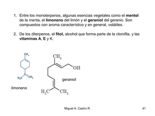 1. Entre los monoterpenos, algunas esencias vegetales como el mentol
de la menta, el limoneno del limón y el geraniol del geranio. Son
compuestos con aroma característico y en general, volátiles.
2. De los diterpenos, el fítol, alcohol que forma parte de la clorofila, y las
vitaminas A, E y K.
41Miguel A. Castro R.
limoneno
geraniol
 