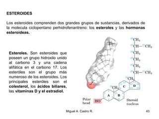 ESTEROIDES
Los esteroides comprenden dos grandes grupos de sustancias, derivados de
la molecula ciclopentano perhidrofenantreno: los esteroles y las hormonas
esteroideas.
Esteroles. Son esteroides que
poseen un grupo hidroxilo unido
al carbono 3 y una cadena
alifática en el carbono 17. Los
esteróles son el grupo más
numeroso de los esteroides. Los
principales esteróles son el
colesterol, los ácidos biliares,
las vitaminas D y el estradiol.
43Miguel A. Castro R.
 
