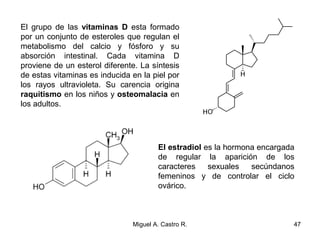 El grupo de las vitaminas D esta formado
por un conjunto de esteroles que regulan el
metabolismo del calcio y fósforo y su
absorción intestinal. Cada vitamina D
proviene de un esterol diferente. La síntesis
de estas vitaminas es inducida en la piel por
los rayos ultravioleta. Su carencia origina
raquitismo en los niños y osteomalacia en
los adultos.
El estradiol es la hormona encargada
de regular la aparición de los
caracteres sexuales secúndanos
femeninos y de controlar el ciclo
ovárico.
47Miguel A. Castro R.
 