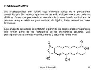 PROSTAGLANDINAS
Las prostaglandinas son lípidos cuya molécula básica es el prostanoato
constituido por 20 carbonos que forman un anillo ciclopentano y dos cadenas
alifáticas. Su nombre procede de su descubrimiento en el líquido seminal y en la
próstata, aunque existe en gran cantidad de tejidos, tanto masculinos como
femeninos.
Este grupo de sustancias se sintetizan a partir de los ácidos grasos insaturados
que forman parte de los fosfolípidos de las membranas celulares. Las
prostaglandinas se sintetizan continuamente y actúan de forma local.
49Miguel A. Castro R.
 