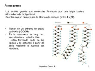 Ácidos grasos
•Los ácidos grasos son moléculas formadas por una larga cadena
hidrocarbonada de tipo lineal
•Cuentan con un número par de átomos de carbono (entre 4 y 24).
• Tienen en un extremo un grupo
carboxilo (-COOH).
• En la naturaleza es muy raro
encontrarlos en estados libre.
• Están formando parte de los
lípidos y se obtienen a partir de
ellos mediante la ruptura por
hidrólisis.
5Miguel A. Castro R.
 