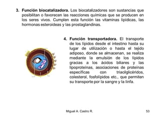53Miguel A. Castro R.
 