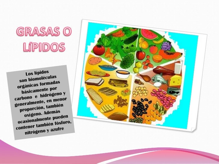Lipidos o grasas