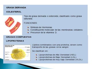 Lipidos- Cecibel Alvarez
