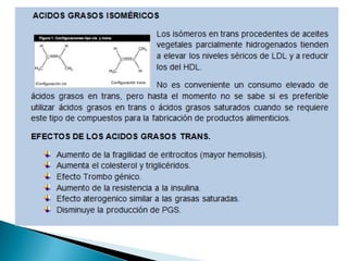Lipidos- Cecibel Alvarez