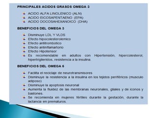 Lipidos- Cecibel Alvarez