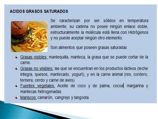 Lipidos- Cecibel Alvarez