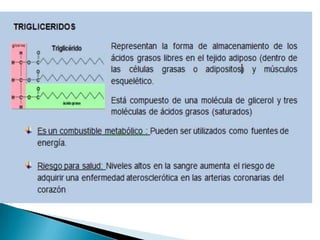 Lipidos- Cecibel Alvarez