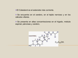 El Colesterol es el esteroide más corriente. Se encuentra en el cerebro, en el tejido nervioso y en los cálculos viliares. Se presenta en altas concentraciones en el hígado, médula espinal, páncreas y cerebro.C27H45OH.