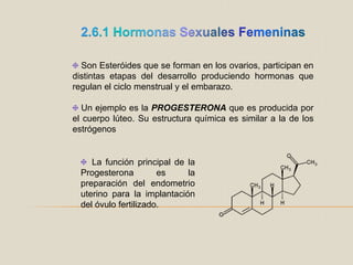 2.6.1 Hormonas Sexuales Femeninas Son Esteróides que se forman en los ovarios, participan en distintas etapas del desarrollo produciendo hormonas que regulan el ciclo menstrual y el embarazo. Un ejemplo es la PROGESTERONA que es producida por el cuerpo lúteo. Su estructura química es similar a la de los estrógenos  La función principal de la Progesterona es la preparación del endometrio uterino para la implantación del óvulo fertilizado.