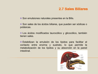2.7 Sales Biliares Son emulsiones naturales presentes en la Bilis.  Son sales de los ácidos biliares, que pueden ser sódicas o potásicas. Los ácidos modificados taurocólico y glicocólico, también tienen sales. Estabilizan la emulsión de los lípidos para facilitar el contacto entre enzima y sustrato, lo que permite la metabolización de los lípidos y su absorción en la pared intestinal.