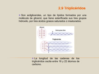 2.9 Triglicéridos Sonacilgliceroles, un tipo de lípidos formados por una molécula de glicerol, que tiene esterificada sus tres grupos hidroxilo, por tres ácidos grasos saturados o insaturados.  La longitud de las cadenas de los triglicéridos oscila entre 16 y 22 átomos de carbono.