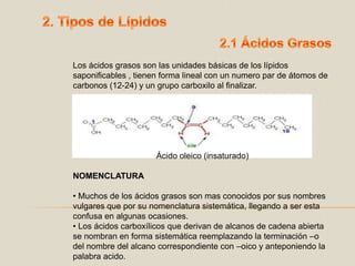 2. Tipos de Lípidos2.1 Ácidos GrasosLos ácidos grasos son las unidades básicas de los lípidos saponificables , tienen forma lineal con un numero par de átomos de carbonos (12-24) y un grupo carboxilo al finalizar.Ácido oleico (insaturado)NOMENCLATURAMuchos de los ácidos grasos son mas conocidos por sus nombres vulgares que por su nomenclatura sistemática, llegando a ser esta confusa en algunas ocasiones.
