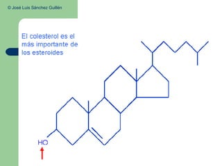 © José Luis Sánchez Guillén