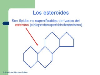 ©  José Luis Sánchez Guillén  