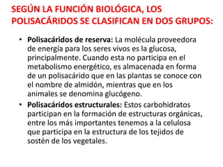 • Polisacáridos de reserva: La molécula proveedora
de energía para los seres vivos es la glucosa,
principalmente. Cuando esta no participa en el
metabolismo energético, es almacenada en forma
de un polisacárido que en las plantas se conoce con
el nombre de almidón, mientras que en los
animales se denomina glucógeno.
• Polisacáridos estructurales: Estos carbohidratos
participan en la formación de estructuras orgánicas,
entre los más importantes tenemos a la celulosa
que participa en la estructura de los tejidos de
sostén de los vegetales.
SEGÚN LA FUNCIÓN BIOLÓGICA, LOS
POLISACÁRIDOS SE CLASIFICAN EN DOS GRUPOS:
 