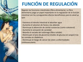 FUNCIÓN DE REGULACIÓN
Regulan las funciones intestinales (fibra alimentaria). La fibra
alimentaria juega un papel importante en la regulación de la función
intestinal con los consiguientes efectos beneficiosos para la salud ya
que:
· Favorece el tránsito intestinal al absorber agua
· Aumenta el volumen de heces y las ablanda
· Disminuye la absorción de ciertas sustancias (como colesterol)
· Aumenta la sensación de saciedad
· Retarda el vaciado del estómago (fibra soluble)
· Disminuyen el pico de glucemia (niveles de glucosa en sangre) tras
las comidas en diabéticos
· Disminuye el riesgo de cáncer de colon y enfermedades
cardiovasculares.
 