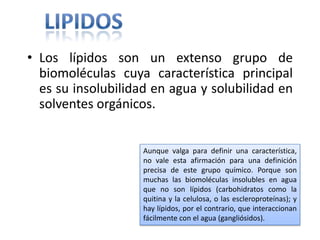• Los lípidos son un extenso grupo de
biomoléculas cuya característica principal
es su insolubilidad en agua y solubilidad en
solventes orgánicos.
Aunque valga para definir una característica,
no vale esta afirmación para una definición
precisa de este grupo químico. Porque son
muchas las biomoléculas insolubles en agua
que no son lípidos (carbohidratos como la
quitina y la celulosa, o las escleroproteínas); y
hay lípidos, por el contrario, que interaccionan
fácilmente con el agua (gangliósidos).
 