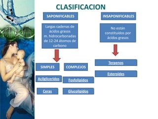CLASIFICACION
SAPONIFICABLES INSAPONIFICABLES
Largas cadenas de
ácidos grasos
m. hidrocarbonadas
de 12-24 átomos de
carbono
No están
constituidos por
ácidos grasos
Acilgliceridos
Ceras
Fosfolipidos
Glucolipidos
Terpenos
Esteroides
SIMPLES COMPLEJOS
 