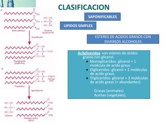 CLASIFICACION
SAPONIFICABLES
Acilgliceridos: son esteres de ácidos
grasos con glicerol.
 Monogliceridos: glicerol + 1
molécula de acido graso
 Digliceridos: glicerol + 2 moléculas
de acido graso.
 Trigliceridos: glicerol + 3 moléculas
de acido graso (+ abundantes):
Grasas (animales)
Aceites (vegetales).
LIPIDOS SIMPLES
ESTERES DE ACIDOS GRASOS CON
DIVERSOS ALCOHOLES
 