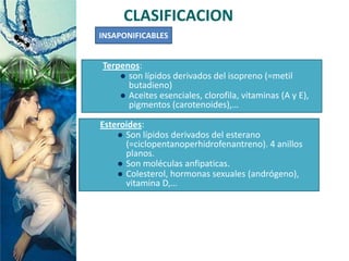 CLASIFICACION
INSAPONIFICABLES
Terpenos:
 son lípidos derivados del isopreno (=metil
butadieno)
 Aceites esenciales, clorofila, vitaminas (A y E),
pigmentos (carotenoides),…
Esteroides:
 Son lípidos derivados del esterano
(=ciclopentanoperhidrofenantreno). 4 anillos
planos.
 Son moléculas anfipaticas.
 Colesterol, hormonas sexuales (andrógeno),
vitamina D,…
 