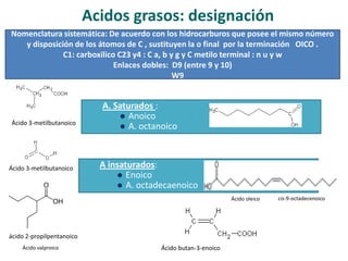 Acidos grasos: designación
Nomenclatura sistemática: De acuerdo con los hidrocarburos que posee el mismo número
y disposición de los átomos de C , sustituyen la o final por la terminación OICO .
C1: carboxilico C23 y4 : C a, b y g y C metilo terminal : n u y w
Enlaces dobles: D9 (entre 9 y 10)
W9
A. Saturados :
 Anoico
 A. octanoico
A insaturados:
 Enoico
 A. octadecaenoico
Ácido butan-3-enoico
Ácido 3-metilbutanoico
Ácido 3-metilbutanoico
ácido 2-propilpentanoico
Ácido valproico
Ácido oleico cis-9-octadecenoico
 