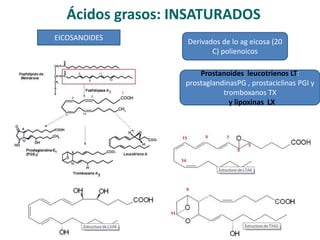 Ácidos grasos: INSATURADOS
EICOSANOIDES Derivados de lo ag eicosa (20
C) polienoicos
Prostanoides leucotrienos LT:
prostaglandinasPG , prostaciclinas PGI y
tromboxanos TX
y lipoxinas LX
 