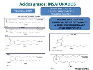 Ácidos grasos: INSATURADOS
PROSTAGLANDINAS
HORMONAS LOCALES
FUNCIONES FISIOLOGICAS Y
FORMACOLOGICOAS
INVIVO SE SINTETIZAN POR
CICLIZACION DE LOS EICOSANOICOS
A. ARAQUIDONICO FORMANDO
ANILLO CICLOPENTANO
ANILLO CICLOPENTANO
ANILLO OXANO
 