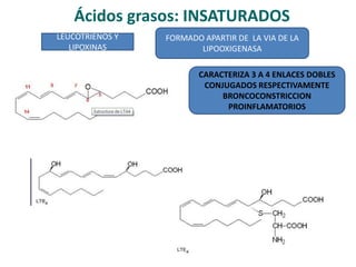 Ácidos grasos: INSATURADOS
LEUCOTRIENOS Y
LIPOXINAS
FORMADO APARTIR DE LA VIA DE LA
LIPOOXIGENASA
CARACTERIZA 3 A 4 ENLACES DOBLES
CONJUGADOS RESPECTIVAMENTE
BRONCOCONSTRICCION
PROINFLAMATORIOS
 