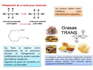 Ag. Trans se originan como
subproductos de la saturación
durante la hidrogenación o
solidificación de los aceites naturales
para fabricar margarinas.
Ingestión de grasa de rumiantes, en
la leche y sus derivados
Los enlaces dobles trans-
modifican estas
interrelaciones espaciales.
La margarina, aceites parcialmente hidrogenados, alimentos
procesados como masa para pizza, galletas, snaks, donas,
bizcochos, alfajores, pasteles, fritos envasados, algunos
cereales para el desayuno y helados
 