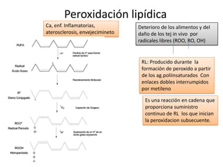 Peroxidación lipídica
Deterioro de los alimentos y del
daño de los tej in vivo por
radicales libres (ROO, RO, OH)
Ca, enf. Inflamatorias,
aterosclerosis, envejecimineto
RL: Producido durante la
formación de peroxido a partir
de los ag.poliinsaturados Con
enlaces dobles interrumpidos
por metileno
Es una reacción en cadena que
proporciona suministro
continuo de RL los que inician
la peroxidacion subsecuente.
 