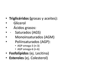 • Triglicéridos (grasas y aceites):
• Glicerol
• Ácidos grasos:
• · Saturados (AGS)
• Monoinsaturados (AGM)
• Poliinsaturados (AGP):
• AGP omega-3 (n-3)
• AGP omega-6 (n-6)
• Fosfolípidos (ej. Lecitina)
• Esteroles (ej. Colesterol)
 