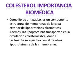 • Como lípido antipático, es un componente
estructural de membranas de la capa
exterior de lipoproteínas plasmáticas.
Además, las lipoproteínas transportan en la
circulación colesterol libre, donde
fácilmente se equilibra con el de otras
lipoproteínas y de las membranas.
 