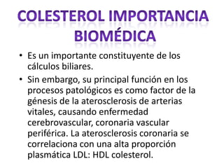 • Es un importante constituyente de los
cálculos biliares.
• Sin embargo, su principal función en los
procesos patológicos es como factor de la
génesis de la aterosclerosis de arterias
vitales, causando enfermedad
cerebrovascular, coronaria vascular
periférica. La aterosclerosis coronaria se
correlaciona con una alta proporción
plasmática LDL: HDL colesterol.
 