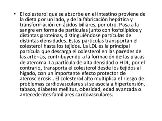 • El colesterol que se absorbe en el intestino proviene de
la dieta por un lado, y de la fabricación hepática y
transformación en ácidos biliares, por otro. Pasa a la
sangre en forma de partículas junto con fosfolípidos y
distintas proteínas, distinguiéndose partículas de
distintas densidades. Estas partículas transportan el
colesterol hasta los tejidos. La LDL es la principal
partícula que descarga el colesterol en las paredes de
las arterias, contribuyendo a la formación de las placas
de ateroma. La partícula de alta densidad o HDL, por el
contrario, transporta el colesterol desde los tejidos al
hígado, con un importante efecto protector de
aterosclerosis.. El colesterol alto multiplica el riesgo de
problemas cardiovasculares si se asocia a hipertensión,
tabaco, diabetes mellitus, obesidad, edad avanzada o
antecedentes familiares cardovasculares.
 
