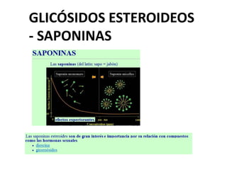 GLICÓSIDOS ESTEROIDEOS
- SAPONINAS
 
