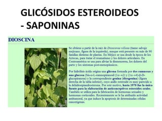 GLICÓSIDOS ESTEROIDEOS
- SAPONINAS
 