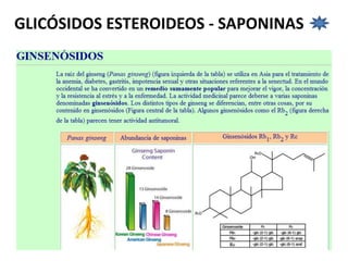 GLICÓSIDOS ESTEROIDEOS - SAPONINAS
 