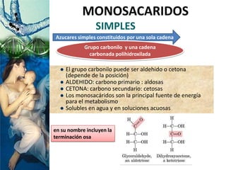 SIMPLES
 El grupo carbonilo puede ser aldehido o cetona
(depende de la posición)
 ALDEHIDO: carbono primario : aldosas
 CETONA: carbono secundario: cetosas
 Los monosacáridos son la principal fuente de energía
para el metabolismo
 Solubles en agua y en soluciones acuosas
MONOSACARIDOS
Azucares simples constituidos por una sola cadena
Grupo carbonilo y una cadena
carbonada polihidroxilada
en su nombre incluyen la
terminación osa
 