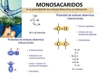  La polaridad de los enlaces determina su interacción
MONOSACARIDOS
 