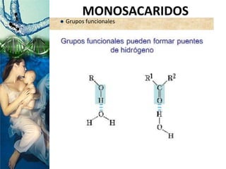  Grupos funcionales
MONOSACARIDOS
 