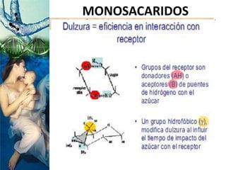  Grupos funcionales
MONOSACARIDOS
 
