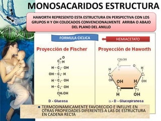 MONOSACARIDOS ESTRUCTURA
HAWORTH REPRESENTO ESTA ESTRUCTURA EN PERSPECTIVA CON LOS
GRUPOS H Y OH COLOCADOS CONVENCIONALMENTE ARRIBA O ABAJO
DEL PLANO DEL ANILLO
 TERMODINAMICAMENTE FAVORECIDO E INFLUYE EN
OTRAS PROPIEDADES DIFERENTES A LAS DE ESTRUCTURA
EN CADENA RECTA
FORMULA CICLICA HEMIACETATO
 