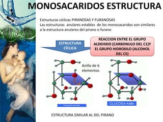 ESTRUCTURA
CÍCLICA
MONOSACARIDOS ESTRUCTURA
REACCION ENTRE EL GRUPO
ALDEHIDO (CARBONULO DEL C1)Y
EL GRUPO HIDROXILO (ALCOHOL
DEL C5)
Estructuras cíclicas PIRANOSAS Y FURANOSAS
Las estructuras anulares estables de los monosacaridos son similares
a la estructura anulares del pirano o furano
Anillo de 6
elementos
ESTRUCTURA SIMILAR AL DEL PIRANO
 
