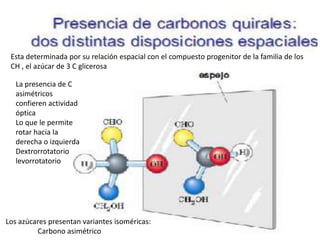 Esta determinada por su relación espacial con el compuesto progenitor de la familia de los
CH , el azúcar de 3 C glicerosa
La presencia de C
asimétricos
confieren actividad
óptica
Lo que le permite
rotar hacia la
derecha o izquierda
Dextrorrotatorio
levorrotatorio
Los azúcares presentan variantes isoméricas:
Carbono asimétrico
 